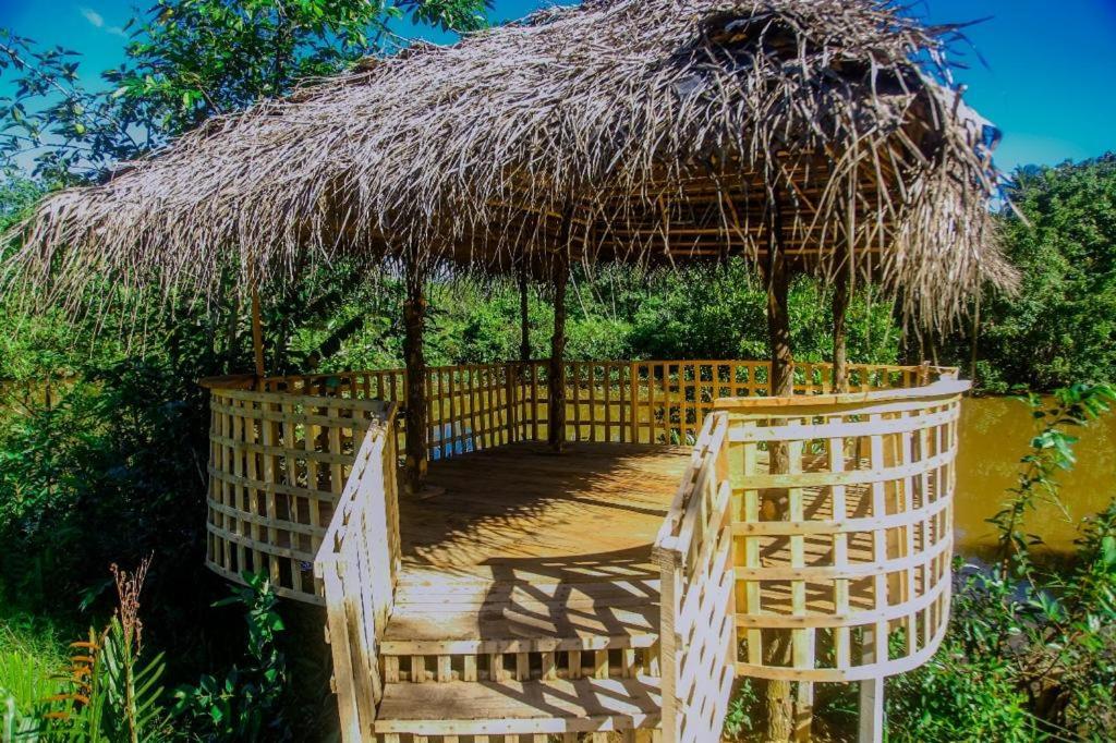 Thatched gazebo with bright blue sky