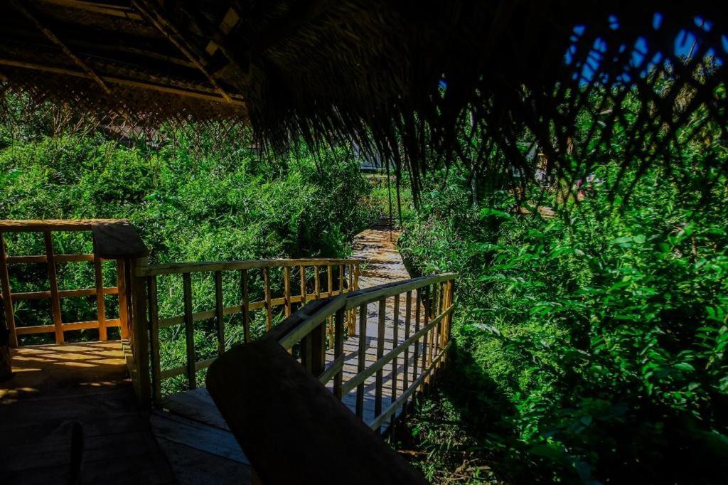 Looking down the boardwalk through the jungle