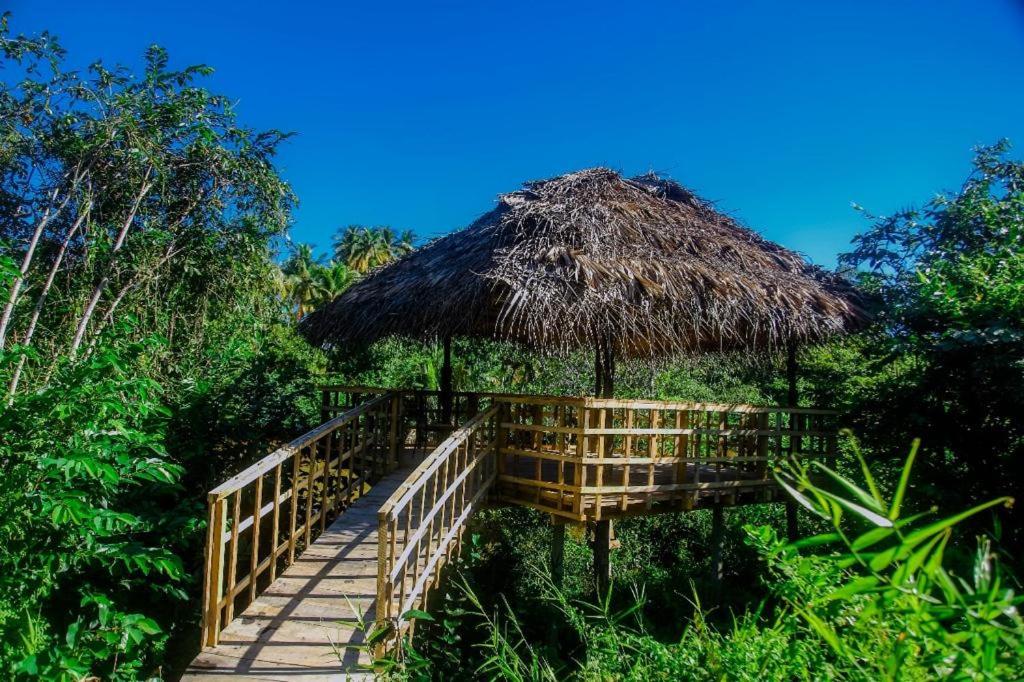 Thatched treehouse with wooden walkway