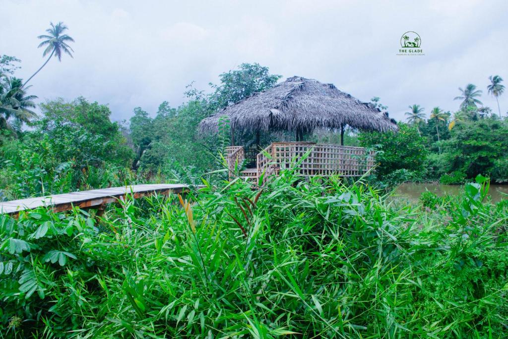 Thatched gazebo among tropical foliage
