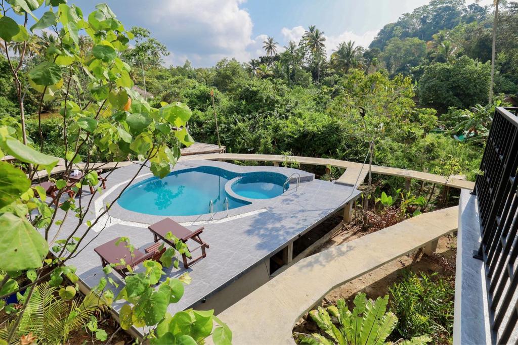 Aerial view of the pool surrounded by jungle